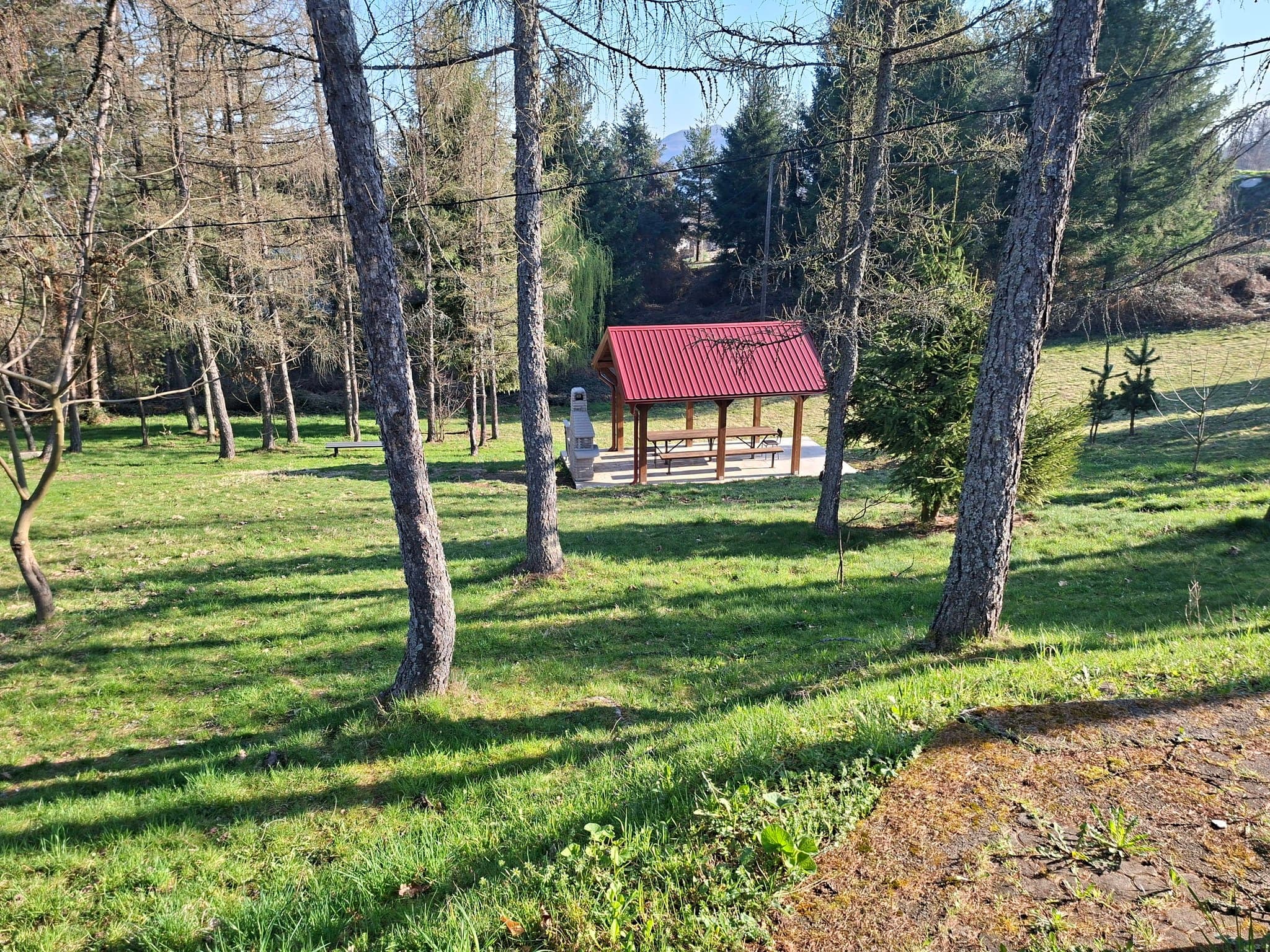 Nadstrešnica u borovoj šumi u proljeće